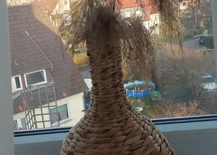 Stilvolle Free Parking, Space, Wlan